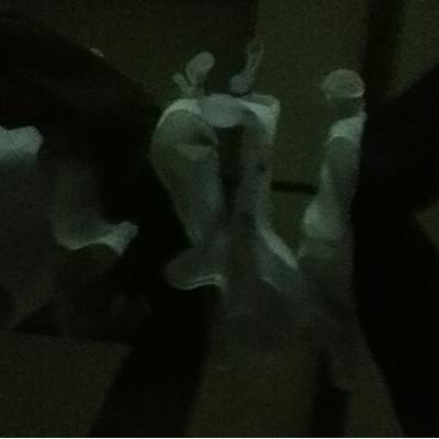 Profile Picture of Adam Wiggins (@isip_neil) on Twitter