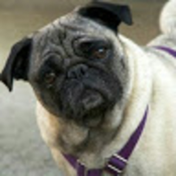 Jo-ann Galland - Poshmark Profile Picture of Jo-ann Galland (@j_galland) on Poshmark