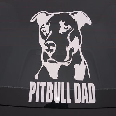 Profile Picture of Adam Smothers (@AdamSmothers8) on Twitter