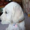 Profile Picture of Dennis Hebert (@@dennishebert0) on Tiktok
