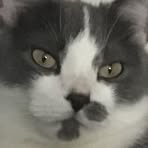 Profile Picture of Connor Wiroll (@connor.wiroll) on Facebook