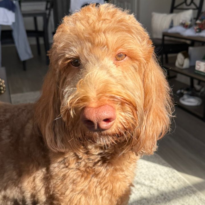 Profile Picture of kc (@karacolonn) on Tiktok