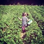 Profile Picture of Diane Sharples Welford (@welforddiane) on Instagram