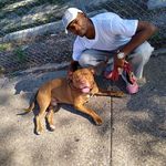 Profile Picture of James Sewell (@james.sewell.14606) on Instagram