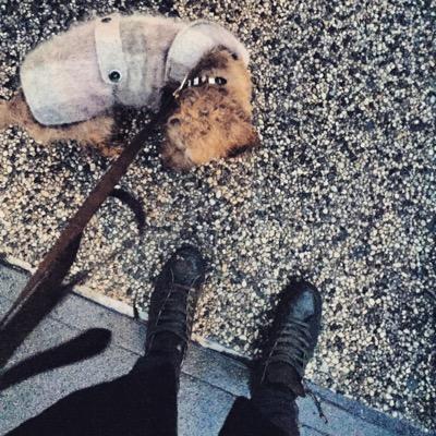 Mike Maroney - Twitter Profile Picture of Mike Maroney (@MikeMaroney11) on Twitter