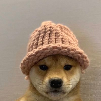 Profile Picture of Chu (@DavidGerst) on Twitter