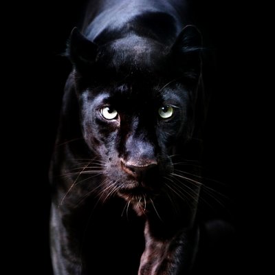 Profile Picture of Paul Chaplin (@prchaplin) on Twitter