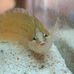 Profile Picture of Glen Decker (@glen.decker.106) on Facebook
