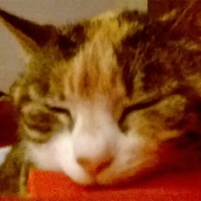 Profile Picture of Sarah Wilby (@sarahwilby74) on Twitter