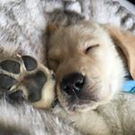 Profile Picture of Ben Morrow (@ben_morrow3) on Instagram