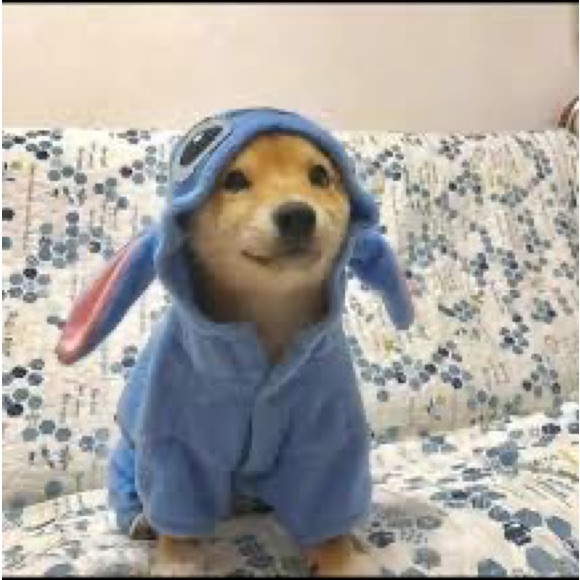 Profile Picture of Daniel Ott (@pizzasellsstuf) on Poshmark