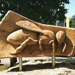 Profile Picture of Imkerverein Freinberg (@michael_schmierer) on Instagram