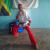 Profile Picture of Howard .E. Reid (@howardEreid) on Youtube