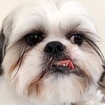 Profile Picture of OLIVER HENDRICKS (@oliverhendies) on Instagram