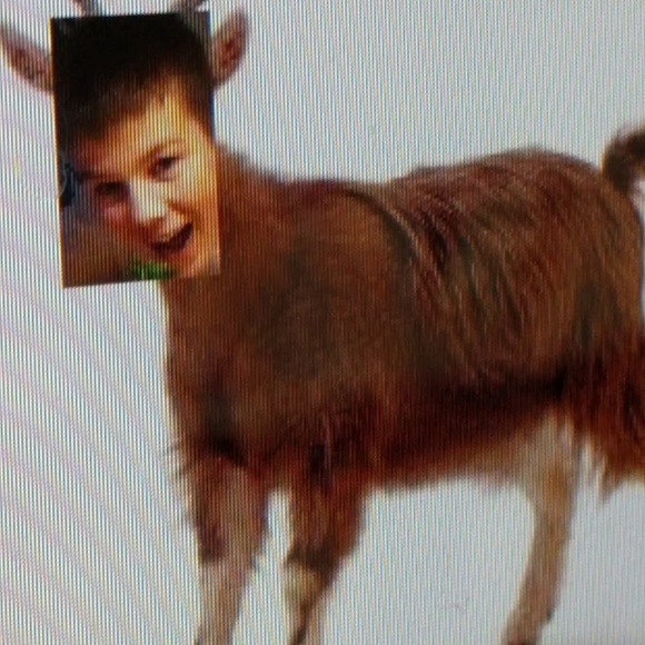 Profile Picture of Gunnar Jacobsen (@gunnarjacobsen) on Poshmark