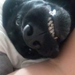 Profile Picture of teddy marshall (@teddy_marshall_12) on Instagram