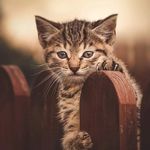 Profile Picture of Robert Marzec (@rekinek007) on Instagram