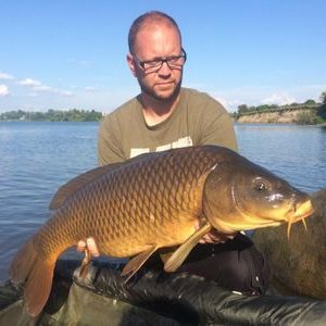 Profile Picture of Joe Davino (@Joedavino1) on Twitter