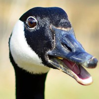 Profile Picture of Michael Piscopo (@michael-piscopo-10) on Quora