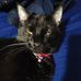 Profile Picture of Frank Moose (@frank.moose.14) on Facebook