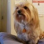 Profile Picture of Barbara Jean Whiteside Monk (@barbarawhitesidemonk) on Instagram