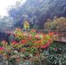 Profile Picture of Tsai Chao (@Tsai-Chao) on Facebook