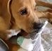 Profile Picture of Sally LaPoint (@sally.richardson.739) on Facebook