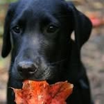 Profile Picture of Jeff Broad (@jeff.broad) on Instagram