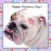 Profile Picture of Amy Pritchett (@amy.williamson.1272) on Facebook