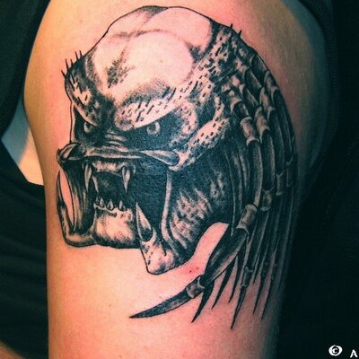 Profile Picture of Dan Stupka (@CZDanino) on Twitter