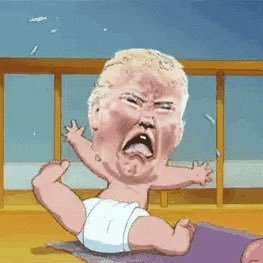 Profile Picture of Trumper Tantrum (@DavidKirsten5) on Twitter