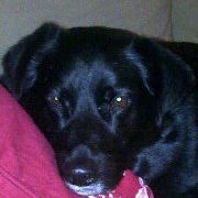 Profile Picture of Joyce W. (@aidansmom71) on Pinterest