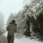 Profile Picture of Jimmy Kao (@kao700) on Instagram