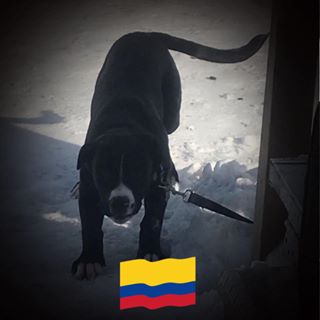 Profile Picture of Lo Key (@clinton.bignell.90) on Facebook