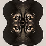 Profile Picture of Vinchensso Gassolini (@gassÓ) on Flickr
