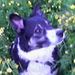 Profile Picture of Reidun Leila (@gieseler77) on Pinterest