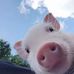 Profile Picture of Steven Li (@steven.li.9047506) on Facebook