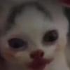 Profile Picture of Kimberly Forrest (@@kimberlyforrest0) on Tiktok