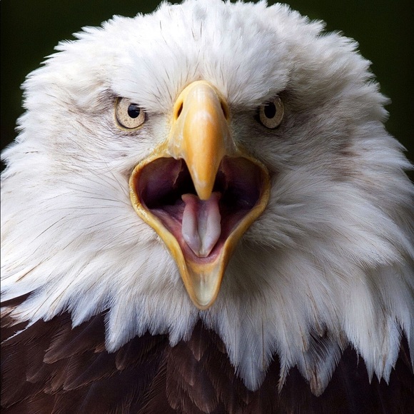 Profile Picture of Vangelis Vangelis (@v4ngeli5) on Poshmark