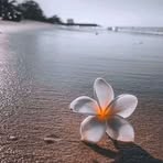 Profile Picture of Stella Hi (@Stella-Hi) on Facebook