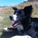 Profile Picture of Robert Van Engelenhoven (@xwiedes) on Instagram