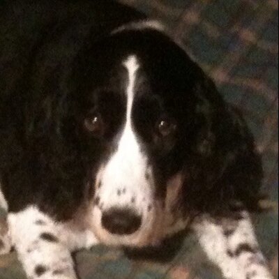 Profile Picture of Rosie Rhodes (@45rhodium) on Twitter
