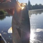 Profile Picture of Adam Ingraham (@adamoingraham) on Instagram