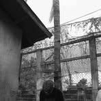 Profile Picture of Michael Dumael (@m.dumael555) on Facebook