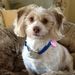 Profile Picture of Anne Crawford (@acr123) on Pinterest