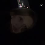 Profile Picture of Loralie Allen (@Loralie-Allen) on Facebook