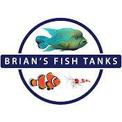Brian's Fish Tanks (Aquatic Support Systems) - Youtube Profile Picture of Brian's Fish Tanks (Aquatic Support Systems) (@briansfishtanks) on Youtube