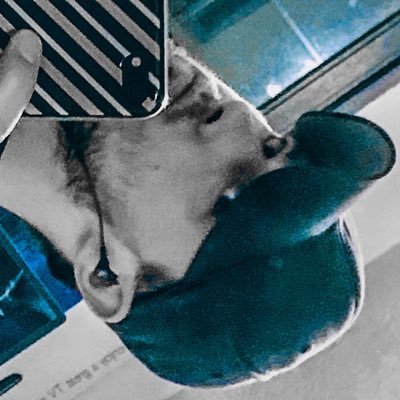 Profile Picture of Daniel Erdmann (@DanielErdmann13) on Twitter