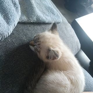 Profile Picture of Matt Sanglier (@matt.sanglier) on Facebook