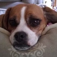 Profile Picture of Matthew Negrete (@Matthew59747784) on Twitter